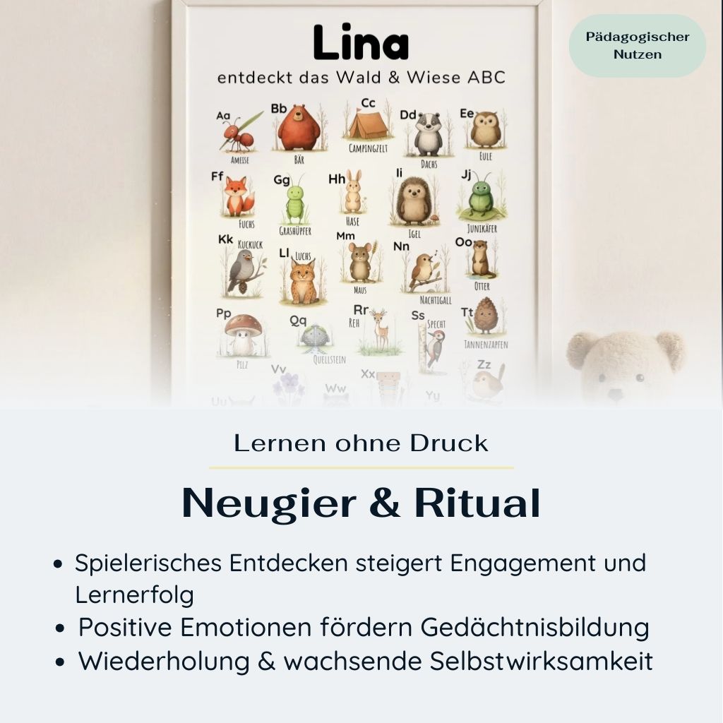 Rahmung eines personalisierten ABC Posters Wald und Wiese im Kinderzimmer mit Name ‚Lina‘, pädagogischer Nutzen Neugier und Ritual hervorgehoben, Fokus auf spielerisches Entdecken, positive Emotionen und Wiederholung, Lernposter im Hochformat für Kinderzimmer und Kita